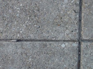 untreated squares